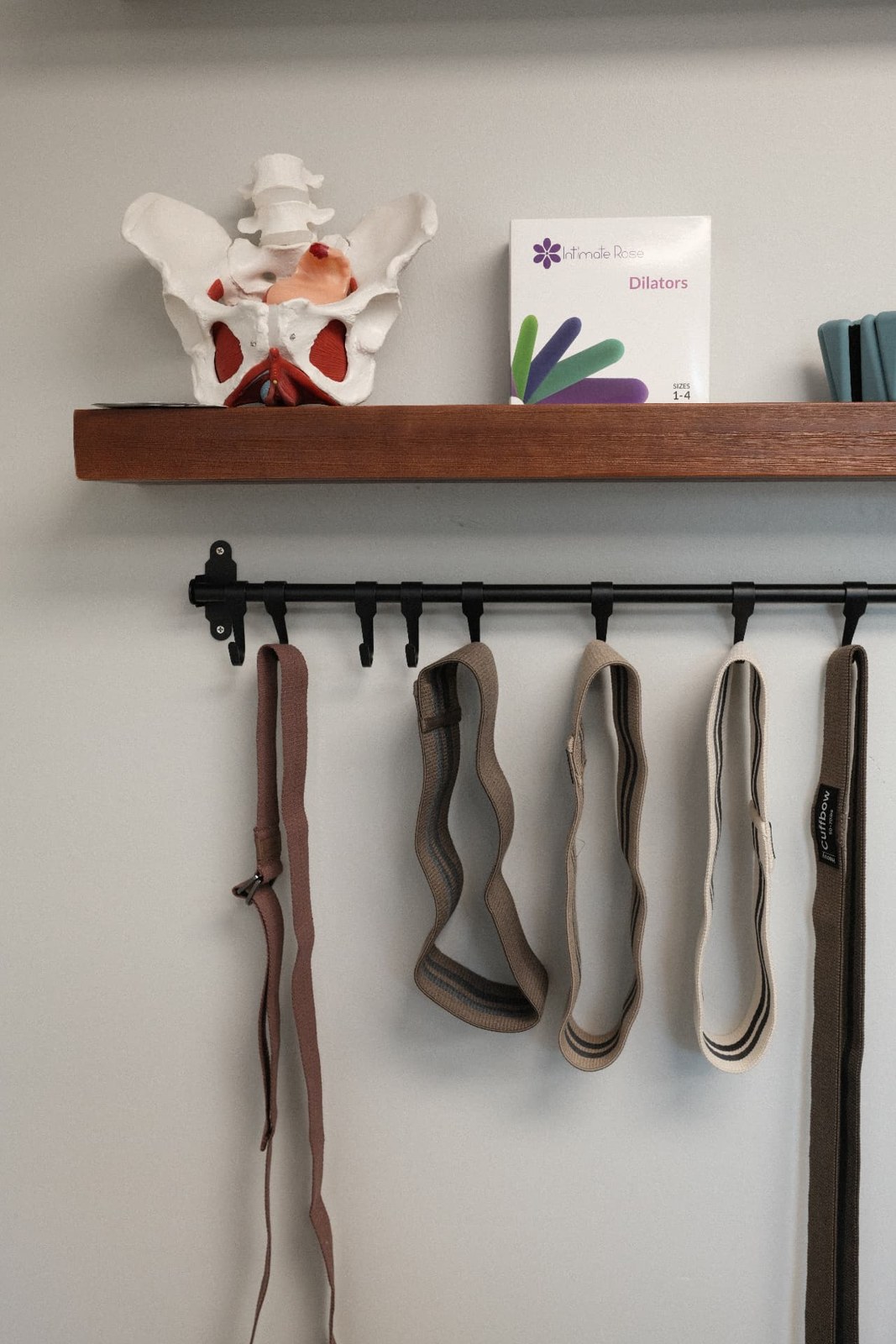 Treatment tools on the studio wall: resistance bands hanging on hooks, a pelvic model and care supplies on a wooden shelf