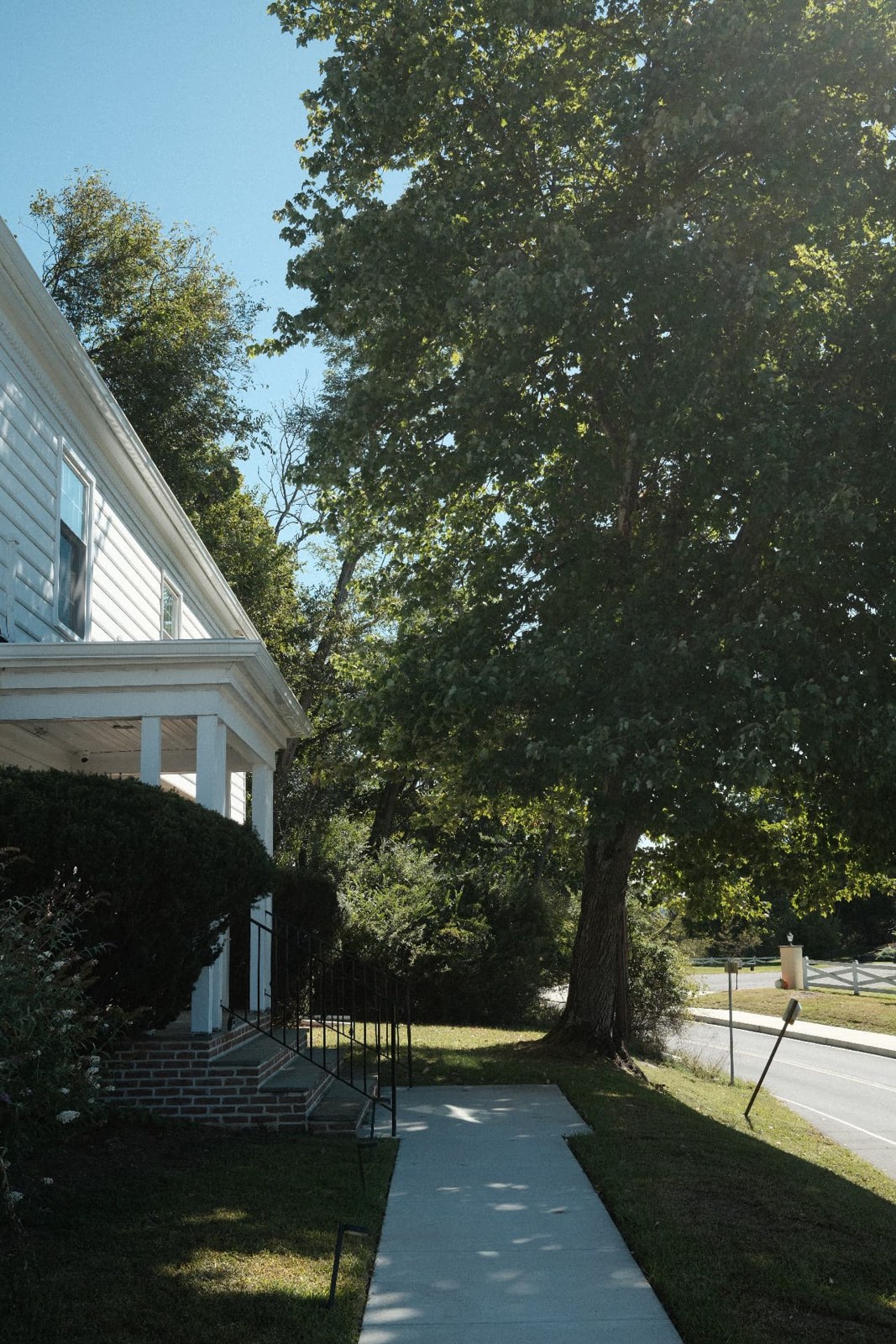 The tree-lined path outside the studio building